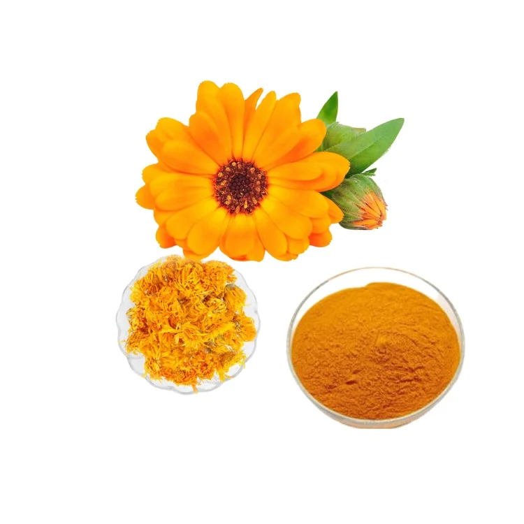 Factory direct supply lutein eye supplement lutein animal feed calendula extract