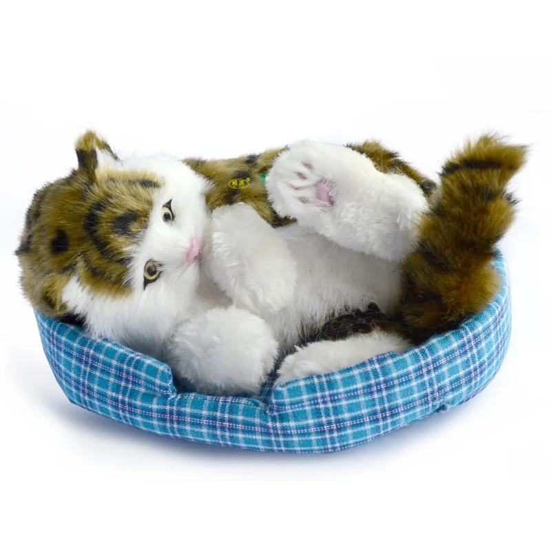 Simulated cat handicraft simulation of the animal model