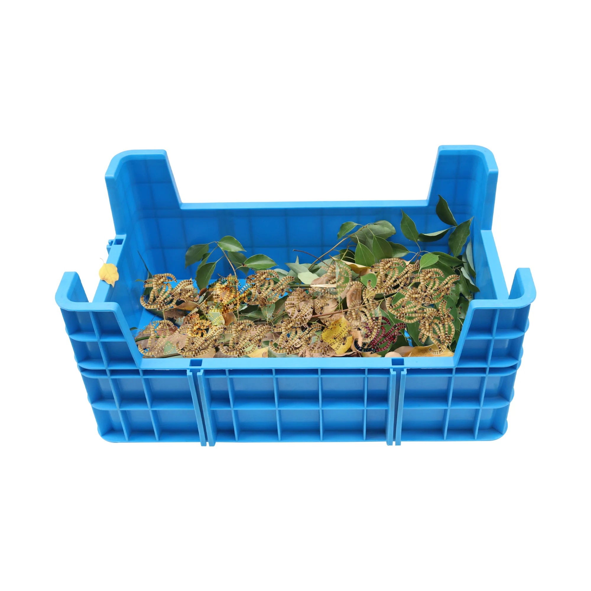 JOIN 700*450*310mm Customized Size PP black soldier fly mealworm Stackable Plastic insect breeding trays for farming