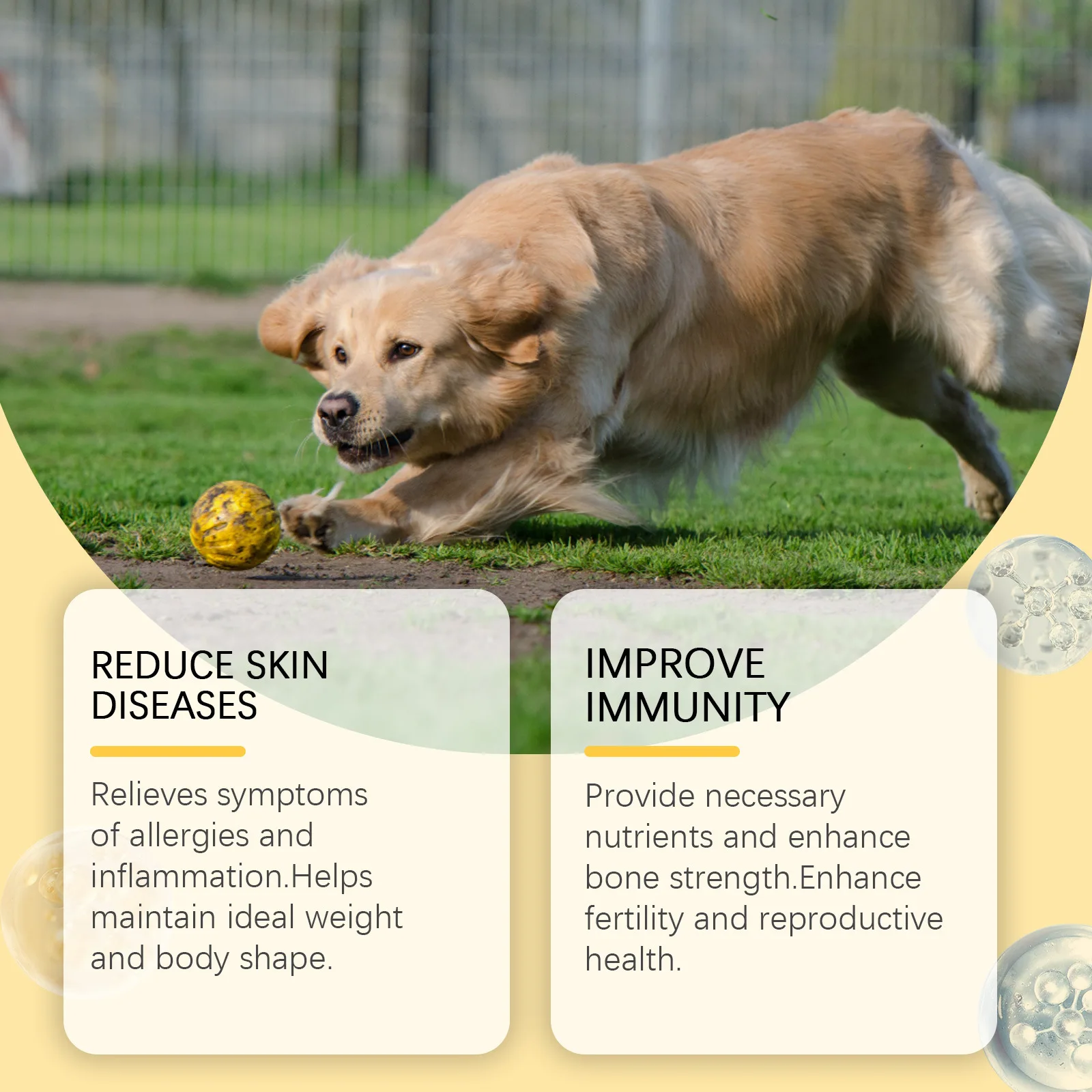 Multivitamin fish oil tablets for dogs, pet dog hair care moisturizing skin care, pet health products, pet care