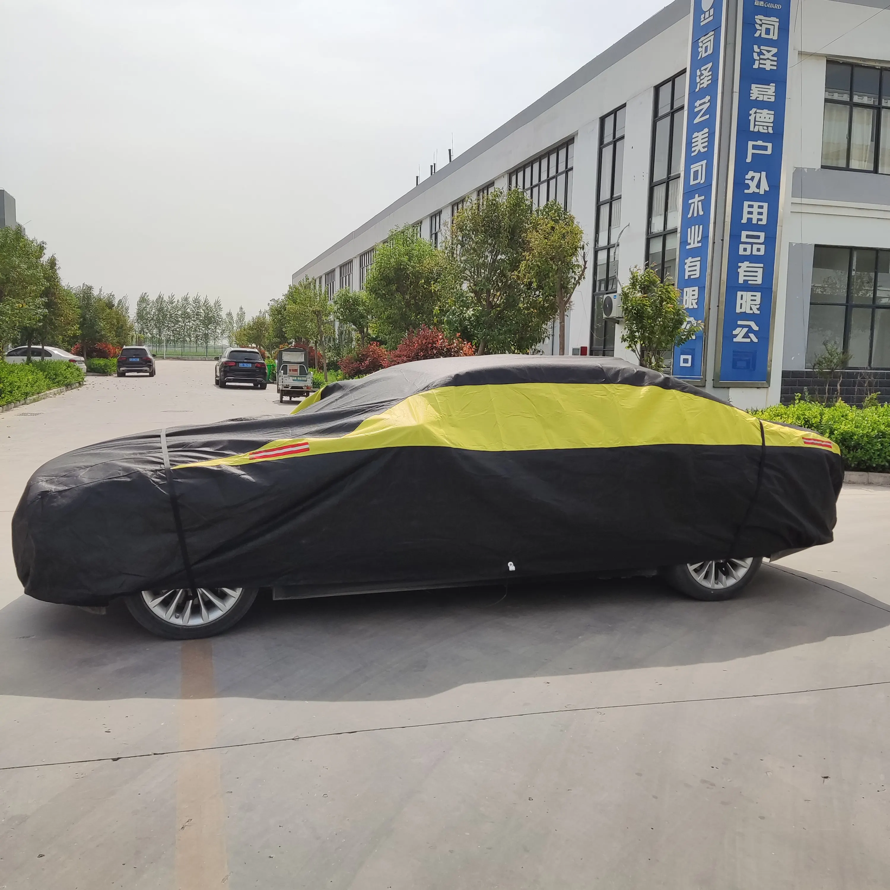 Universal Customized Waterproof PEVA Car Cover for Protect Dandelion OEM Logo Fabric Packing Pcs Protection Printing Material