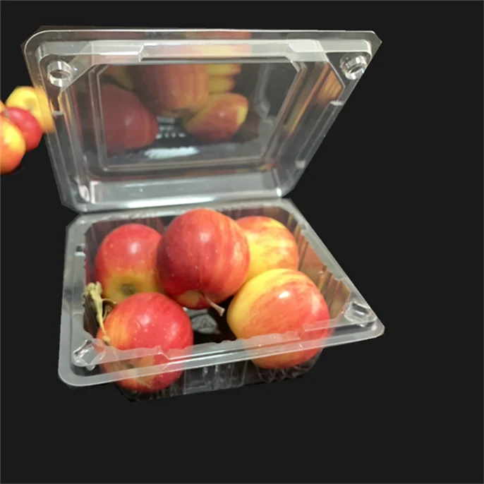 Hot sell vegetables or fruit box trays packing fruit sushi takeout box from professional manufacturer