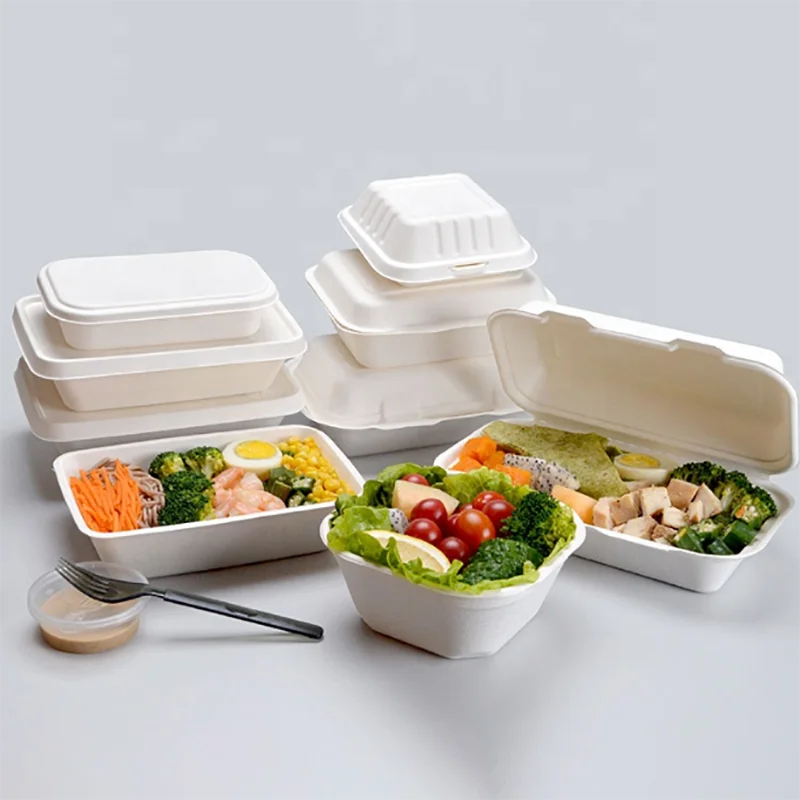 ECO 100% Biodegradable Disposable Lunch Box Clamshell Sugarcane Bagasse Plate with Lid for Takeaway Food and Restaurant Use