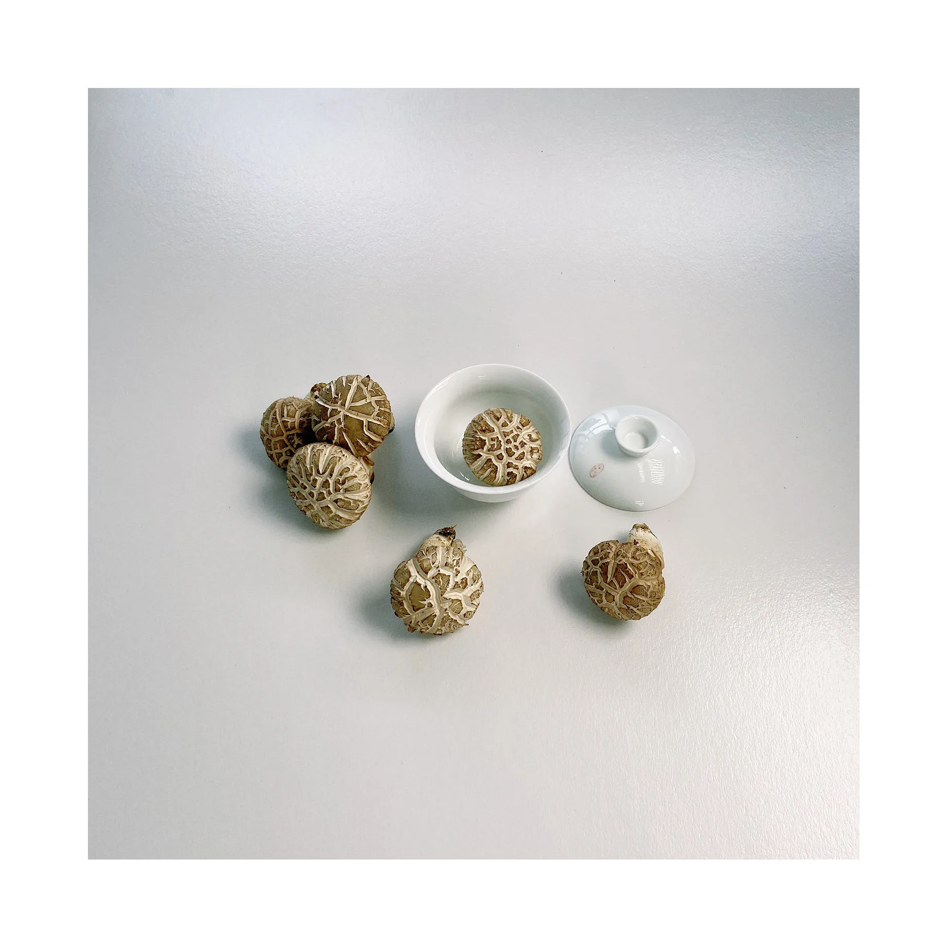 Высококачественные вкусные свежие грибы Hua Shitake хорошего качества