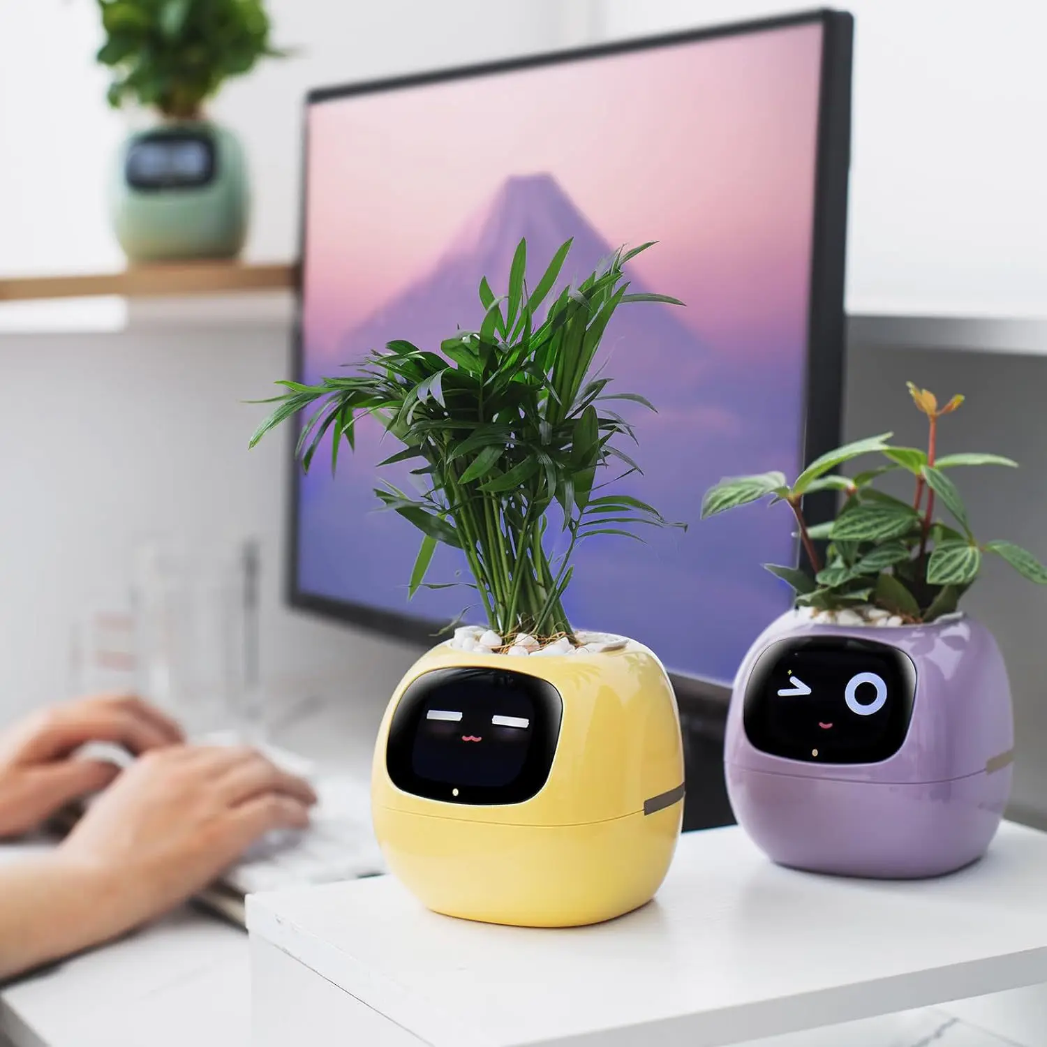 Intelligent Plants Cute Pets Robot Tables Trendy Play Black Technology Good Products, Creative Gifts, Intelligent Flower Pots