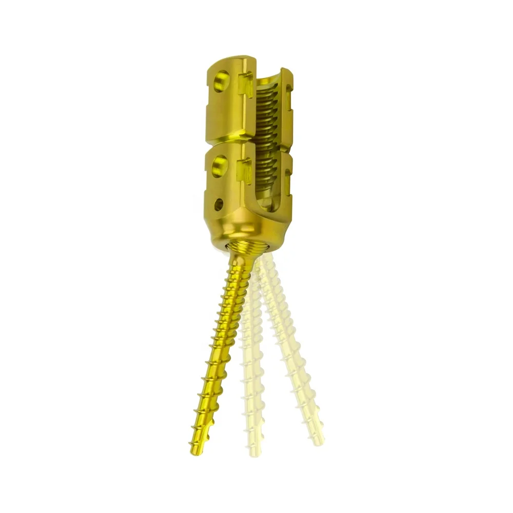 Polyaxial  pedicle screw for posterior thoracolumbar screw-rod 5.5 system