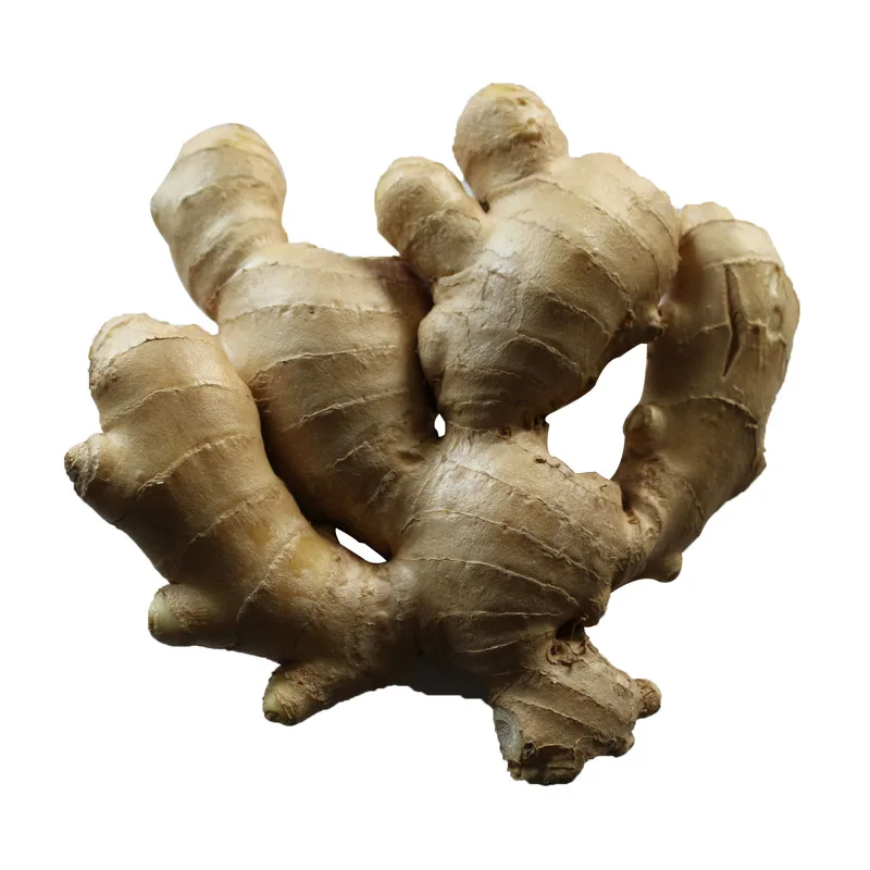 Chinese Fresh Ginger -Export to Pakistan and Dubai Market Size 200g-250g