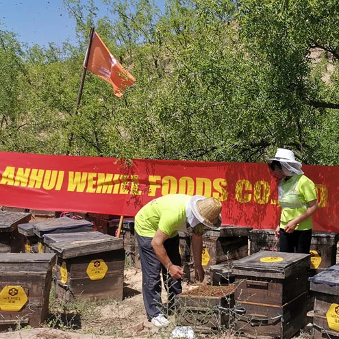 100% Pure Natural Tea Pollen For Women