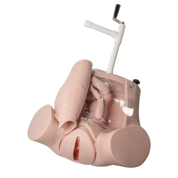 GD/F53 General Doctor Medical Science Advanced Childbirth Model Childbirth Training Simulator
