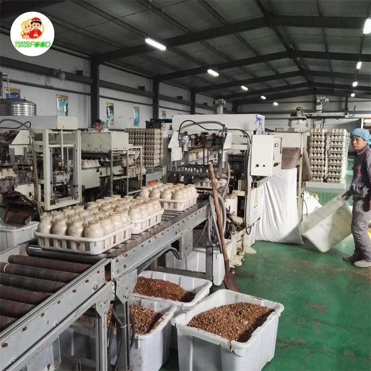 Качество экспорта enoki-Грибы натуральные enoki грибы 5/10/20 кг