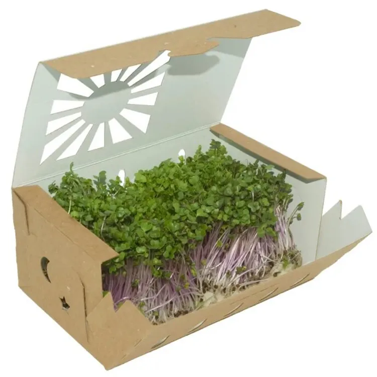 Eco-friendly shipping boxes custom make cardboard  packaging box for shipping   plant shipping box wholesale