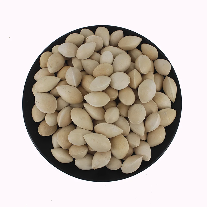 Wholesale Price Good Quality Bulk Organic Dried Ginkgo Nuts 100% Pure Premium Quality Ginkgo Nuts