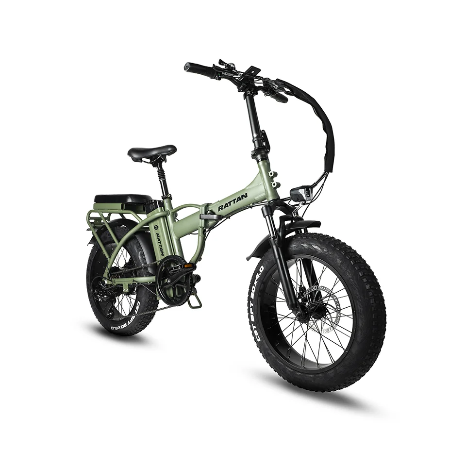 
Rattan LM Top sale guaranteed quality 750W high step fat tire ebike china electric bicycle 