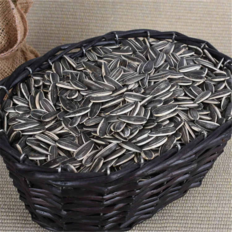 Семена подсолнечника Ouji Pure 361 Украина выращивание Урожай 2019 из Китая; Нея 0.3% макс. dutching 8% в течение 15 дней черного цвета