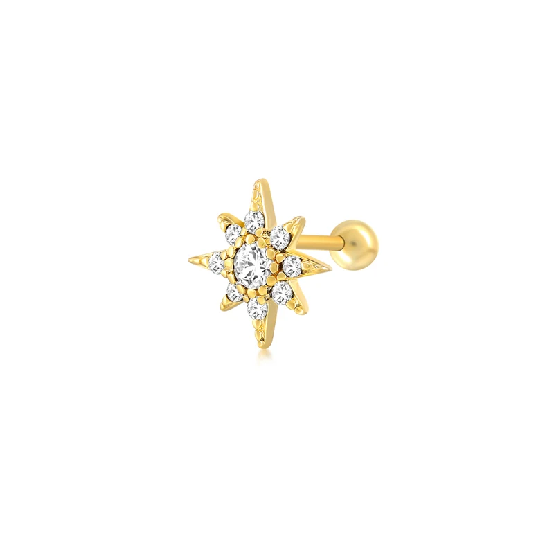 CANNER Shiny Wholesale Jewelry S925 Sterling Silver Zircon Star Piercing Earrings For Women Ladies