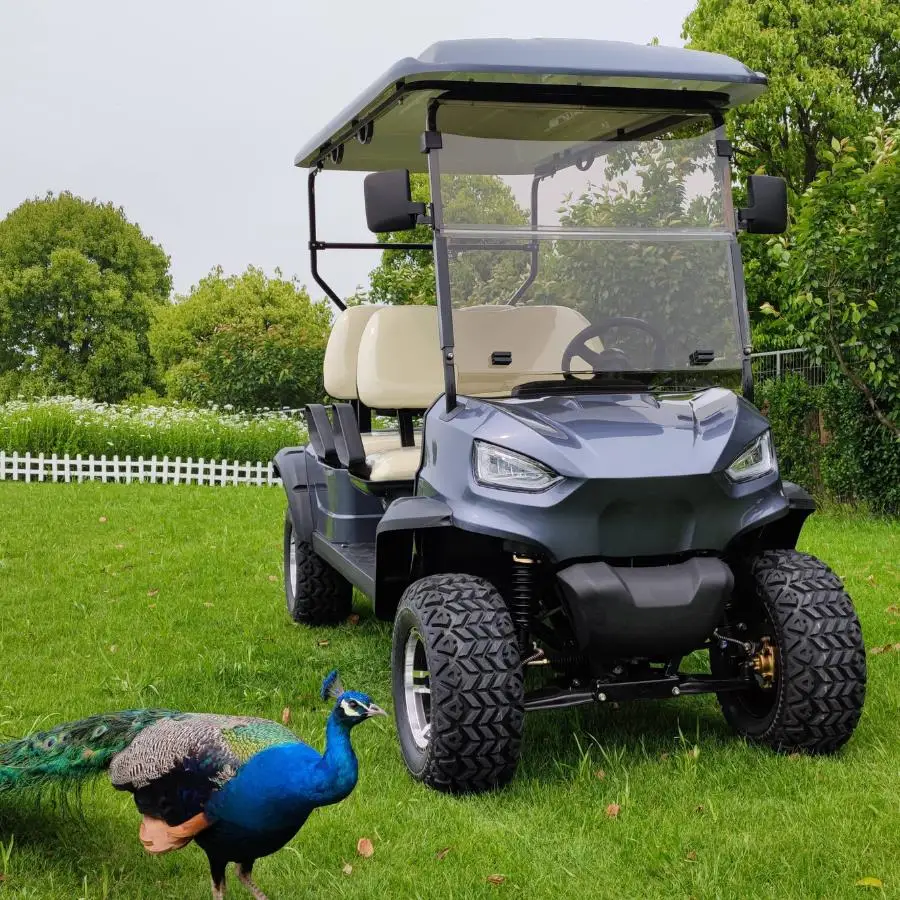 2023 customized off-road 72V lithium battery hunting buggy buy-electric-golf-cart