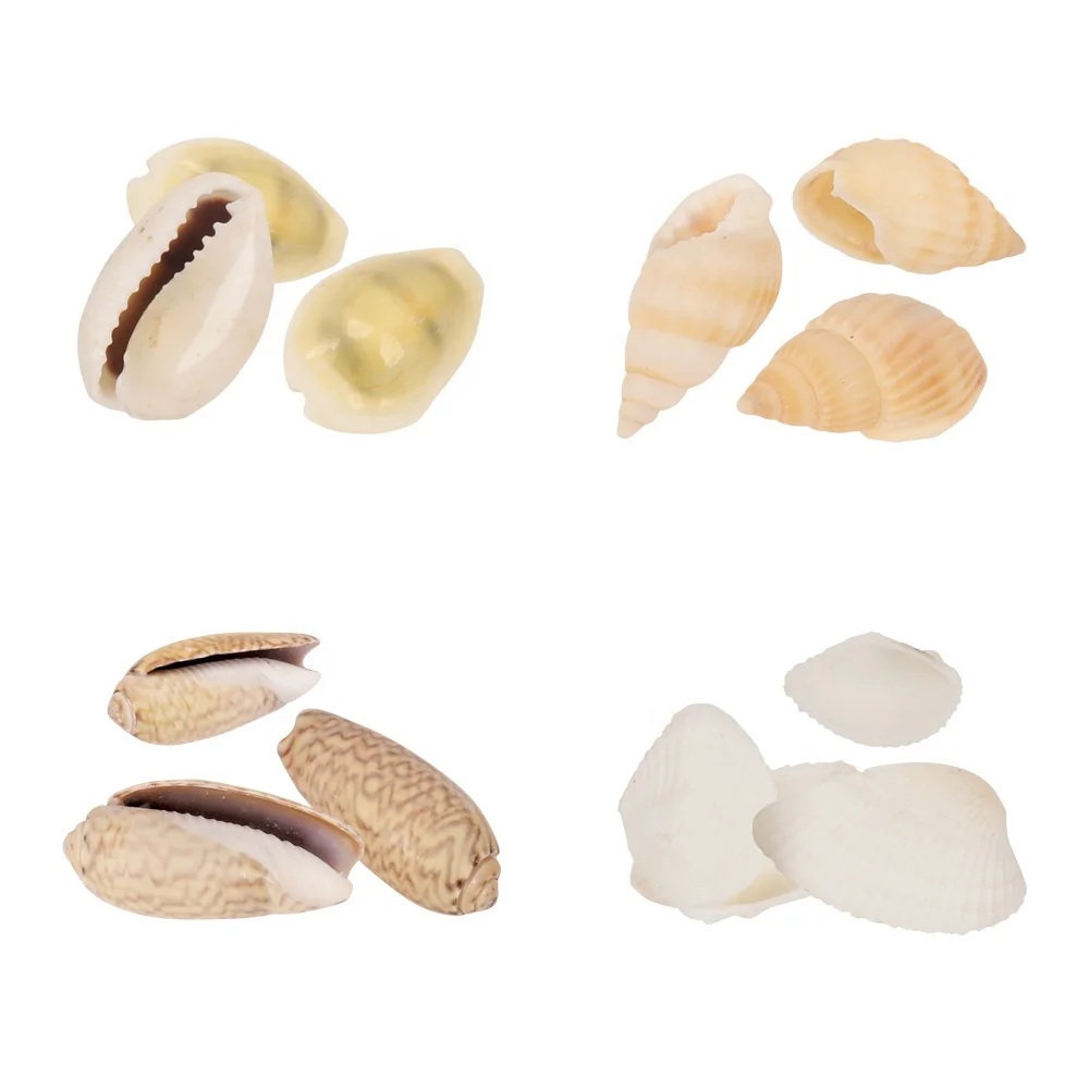 Hot Other Toys Math Material For Educational Puzzle Toys Wooden Bombs Fizzy With Dinosaur Gifts Sets For Children Indoor