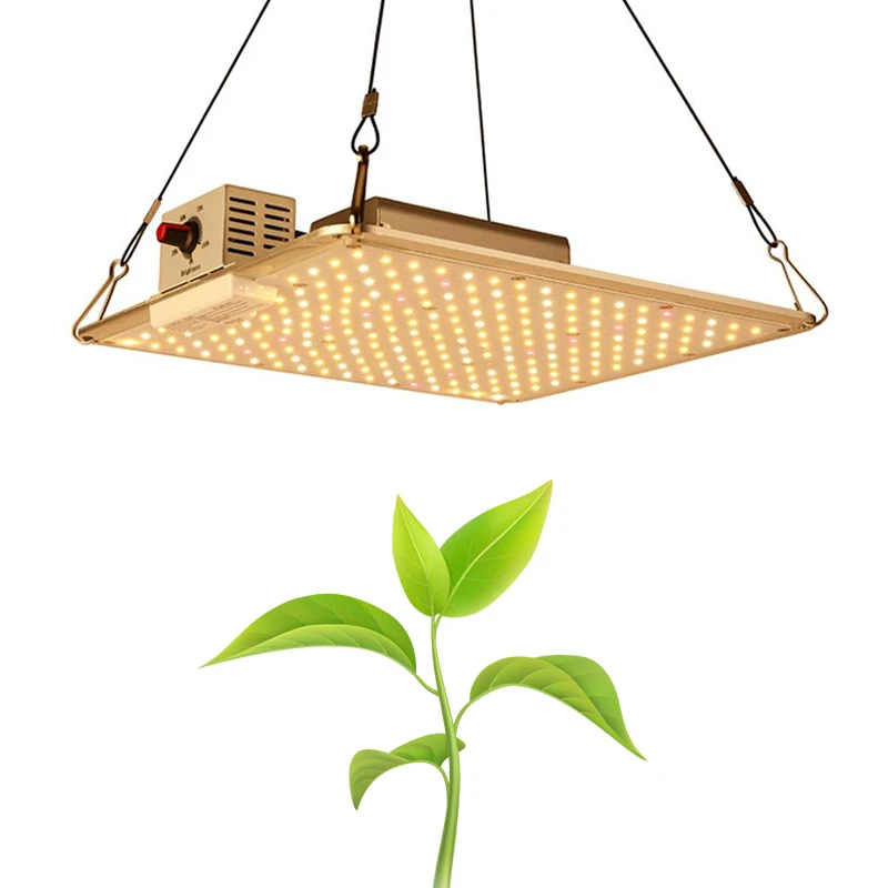 Полный спектр 1000 Вт СИД растет свет 3 x 3ft покрытия с регулируемой яркостью Samsung УФ ИК лампы для комнатных растений