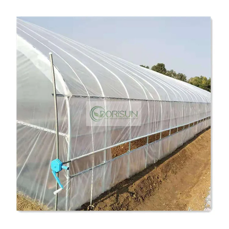 New Agricultural Planting Table Steel Rope Vertical Hydroponic Constant Temperature Greenhouse