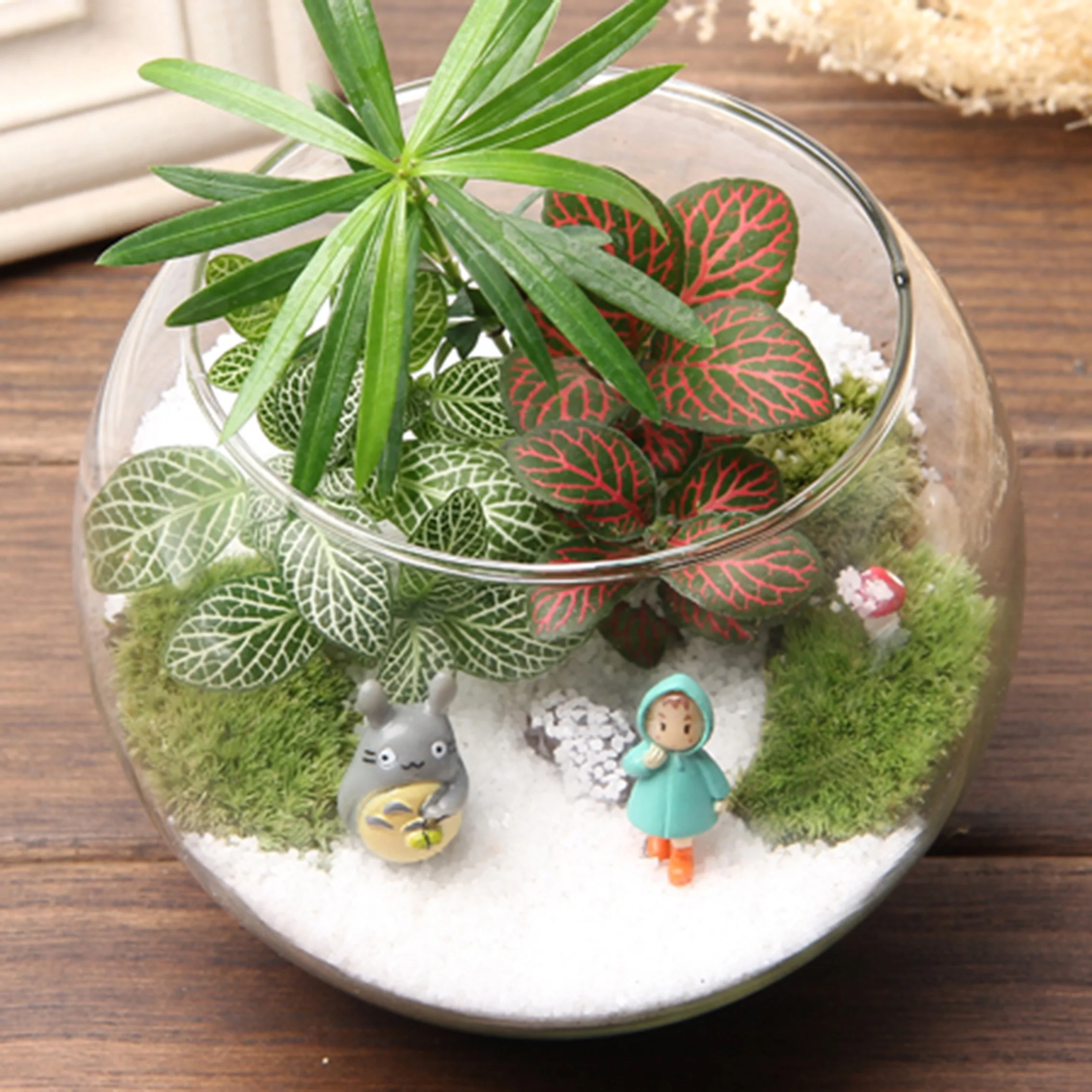 Стеклянная террариумная основа и крышка/ваза для террариума с крышкой/ваза деревянным украшением дома Современная ручная свадьба