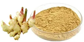 Factory Supply Ginger Powder extract rhizoma zingiberis recens black