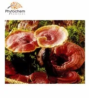 Factory Supply Polysaccharide 2% Triterpene Fresh Ganoderma lucidum Extract, 30% Polysaccharide Reishi Mushroom Extract