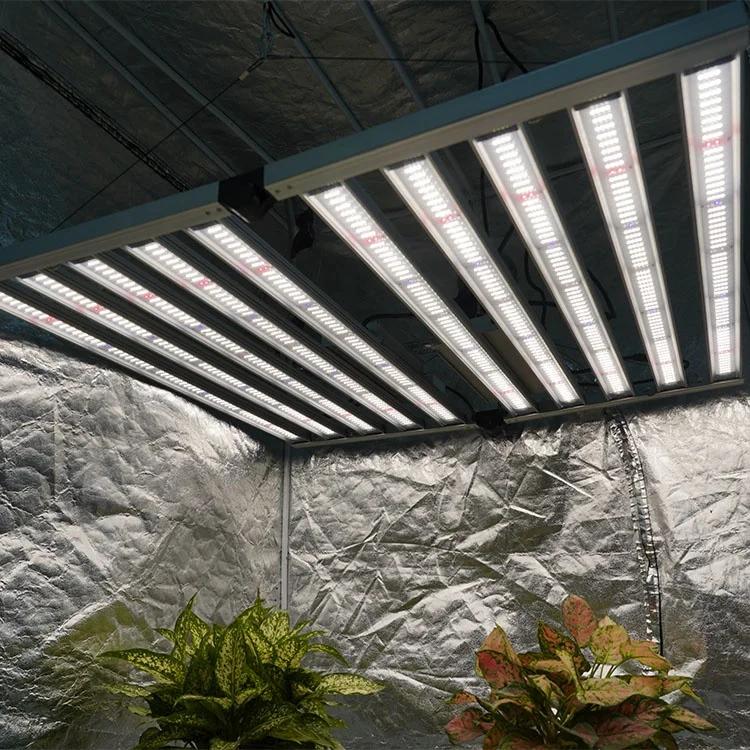 Meijiu ELT CE RoHs Verified Commercial Hydroponic 1000W Led Grow Light, Samsung LM301H LM301B Uv Ir Spectrum Grow Light Led