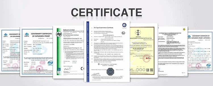 ATEX Approved 3mm Coriolis Mass Flow Meter