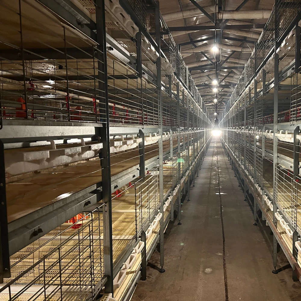 Cheap Price Poultry Farm Equipment Automatic Birds Harvesting H Type Broiler Breeding Cages Feeder Battery Cage System