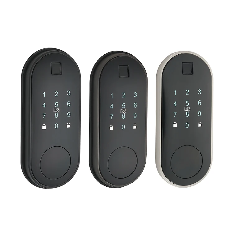 Hot Sell Electronic Door Lock Entry Smart Digital Smart Electronic Door Lock with Keypad Fingerprint Touch Screen