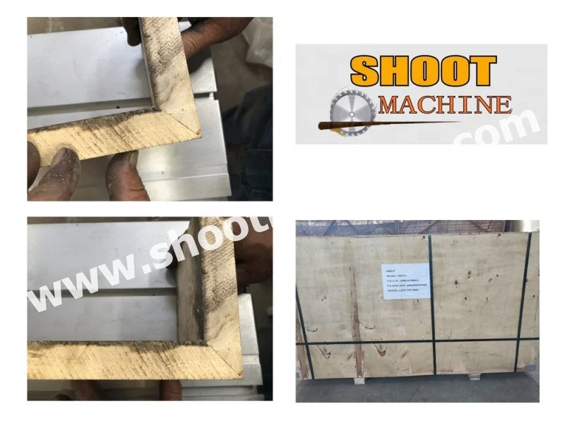 Shoot Brand Woodworking Sliding Table Woodworking Circular Saw Machine, SH233A