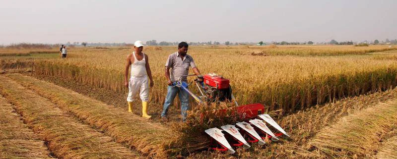 Сельскохозяйственная техника, уборочный комбайн для риса 4G120A, мини-уборочный комбайн для риса