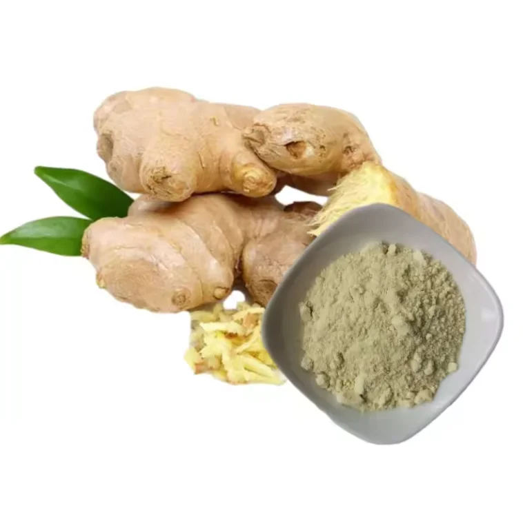Factory Wholesale Gingerol 5% Ginger Extract Powder food grade