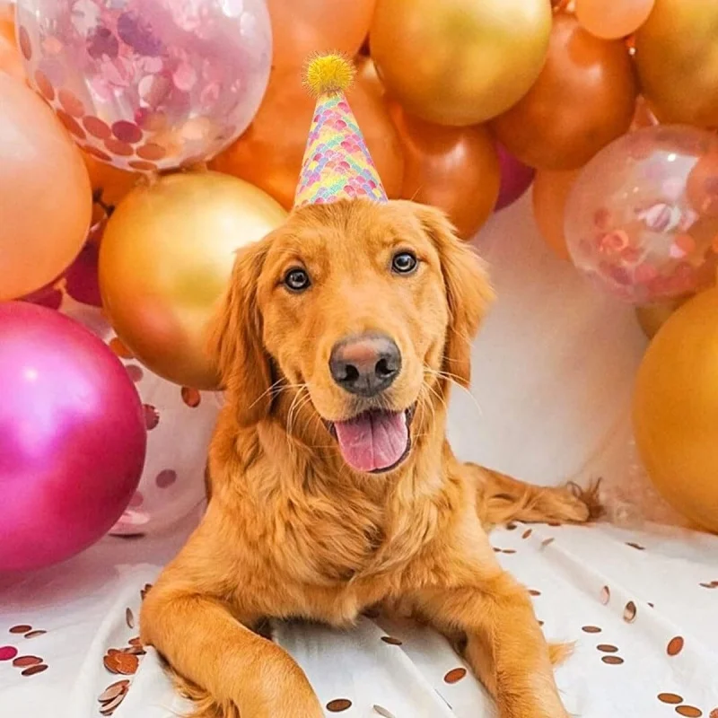 Birthday Party Accessories Dog Party Hat Pet Cap