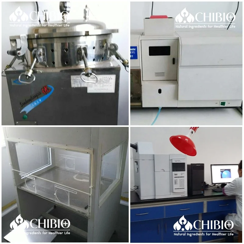 Kosher Ingredients Mushroom Chitosan Powder Raw Material Supplier