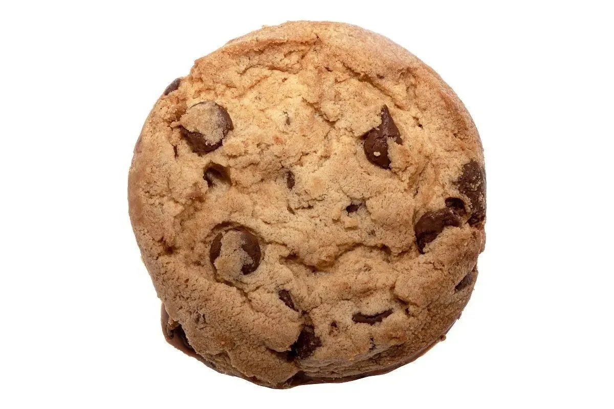 Shanghai Bakenati BNT380 High-tech Servo Motor Cookie Machine With Chocolate Chip Industrial Soft Cookie Making Machine