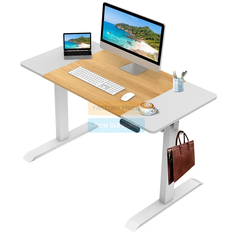 Amazon Hot selling Home Electric Height Adjusted Converter Gaming Desk Sit Stand Office Electric Standing Desk