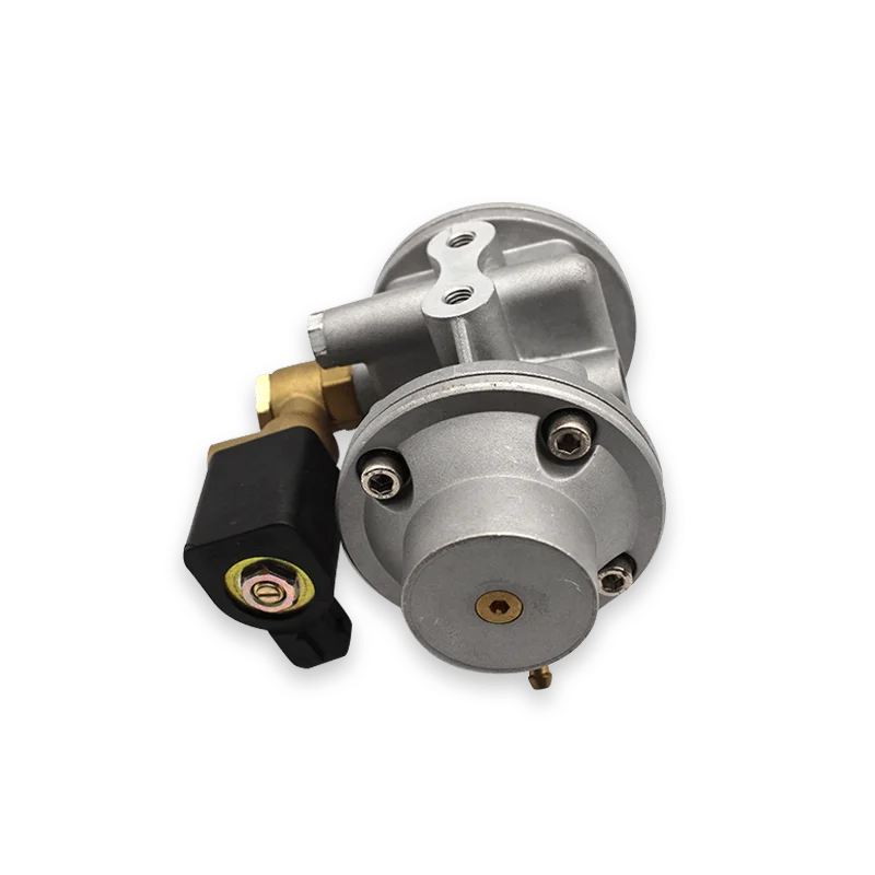 Factory Direct Sales high quality products Pressure Regulator GNC GNV CNG Gas Engine Reducer