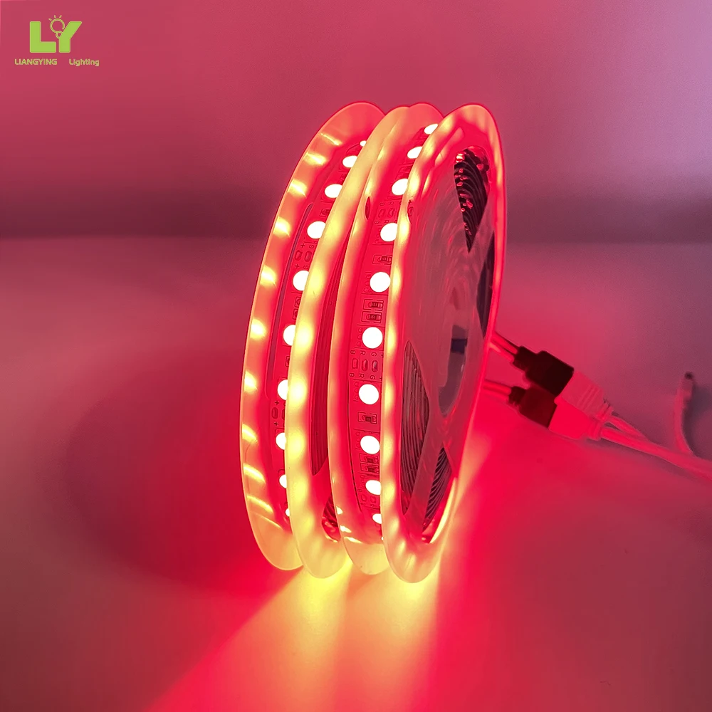 Outdoor Set Waterproof 2835 5050 Led Strip Light For Living Room For Car