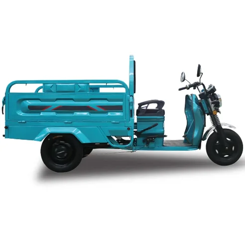 Electric Tricycle Best Safety and Popular 48/60V 1000W Three Wheeled Tricycle Cargo