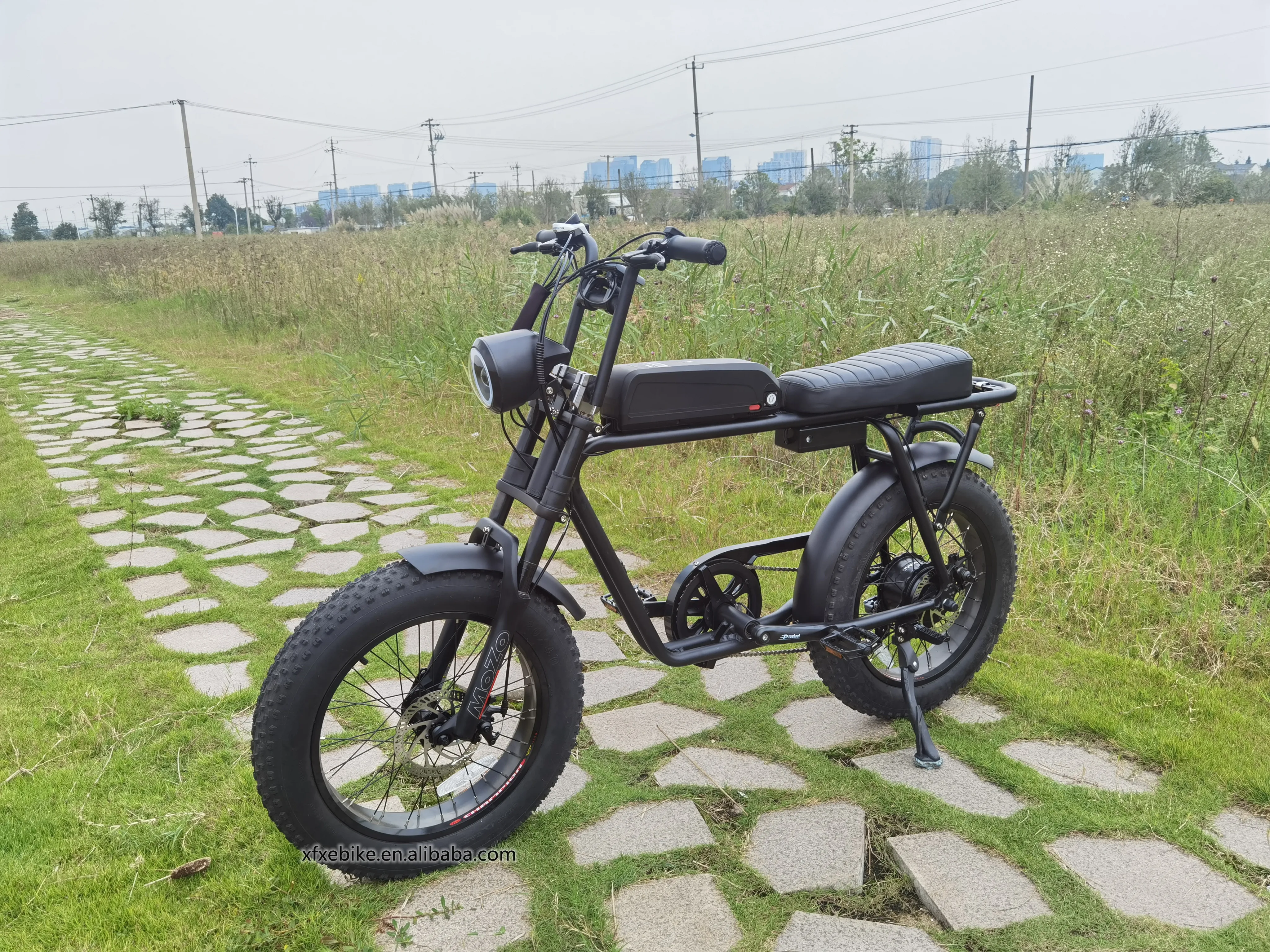 Fast Delivery 20Inch Electric Fat Tire Bike 750W Bafang Rear Motor Snow Beach Super Ebike Electric Bicycles 73