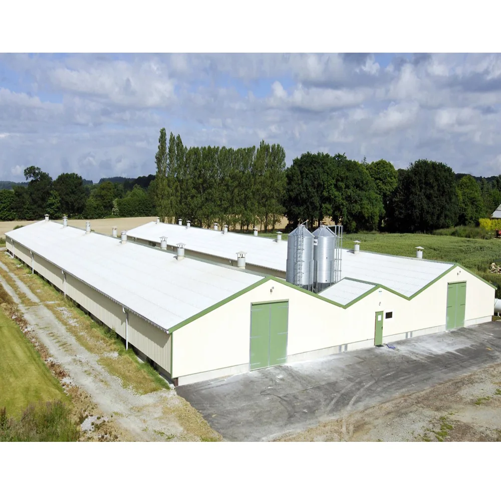 Крупногабаритная Автоматическая бройлерная птицеферма домик сарай конструкция куриная