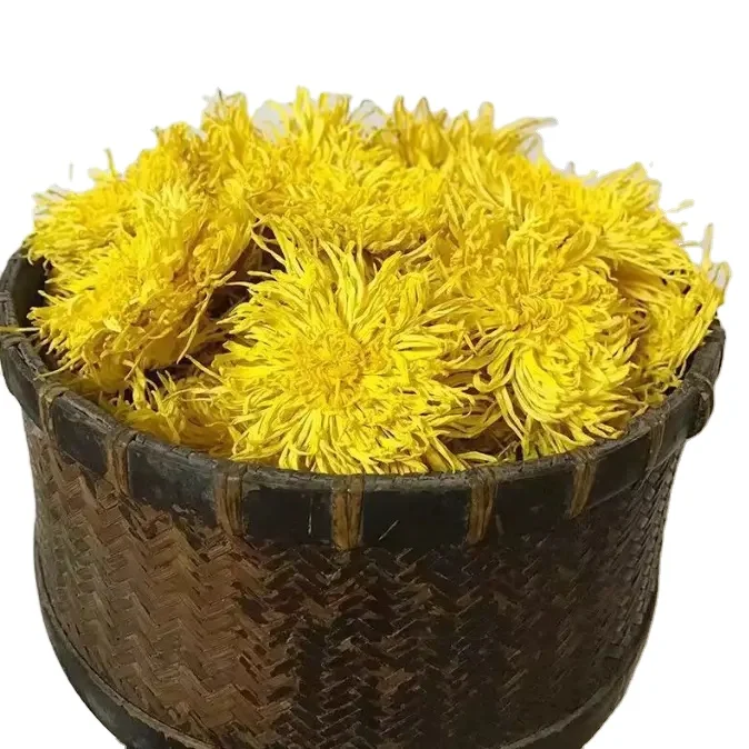 Wholesale High Quality Natural Dried Golden Silk Chrysanthemum Flower Tea