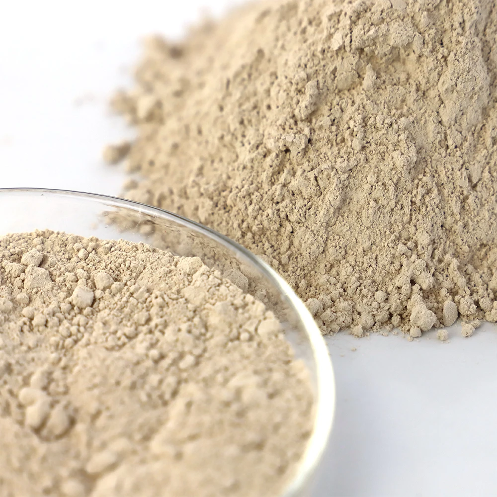 Wholesale For sale raw magnesite powder as MgO Board usages with purity