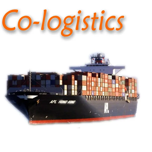 DDP Sea Shipping Cargo Freight From Shenzhen Guangzhou Yiwu China to UK Door to Door