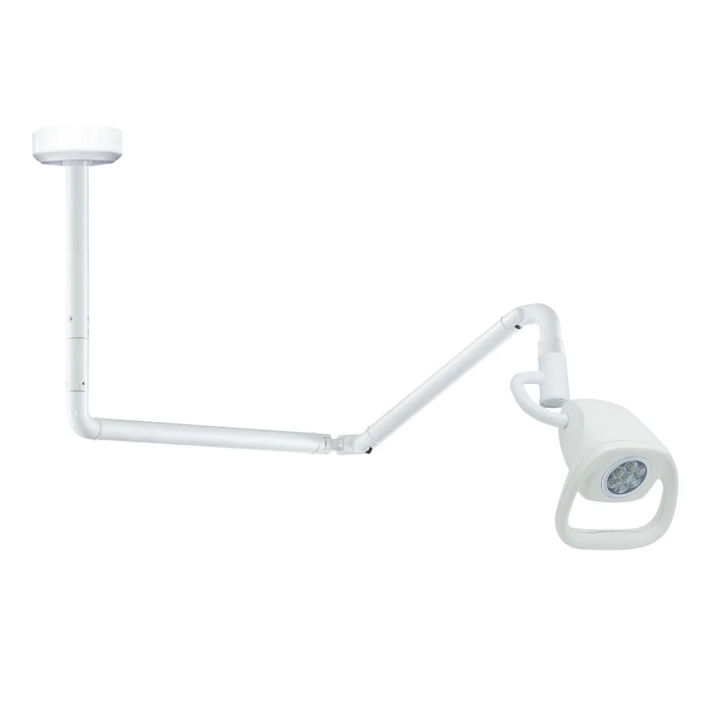 LIZE PET Wall Mounted LED Medical Examination Light Lamp Hospital Cosmetology and Pet Diagnostic Examination Lamp