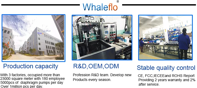 whaleflo.jpg