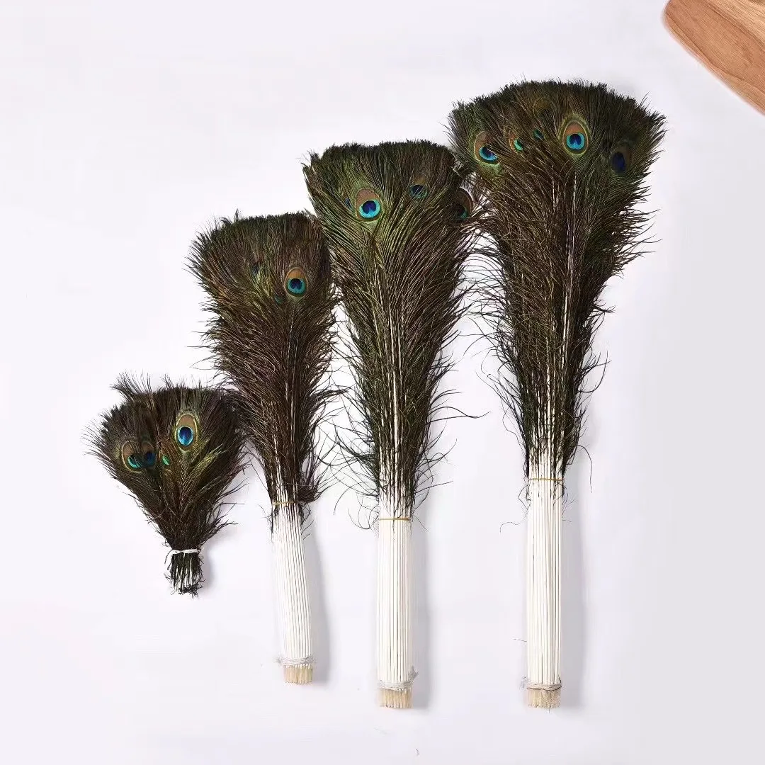 Wholesale Natural Real Peacock Feathers for Crafts 10-80cm 50-100-200pcsdiy Home Hotel Decor Room Vase Wedding Decoration Plumes