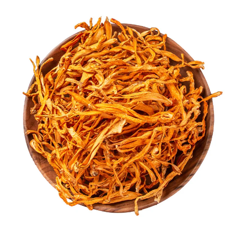 Cordyceps Militaris Mushroom Cordycepin Organic Dried Cordyceps Militaris Big Spore Head