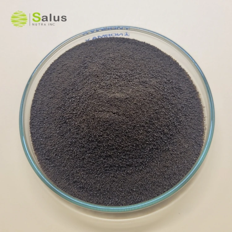 Maca Ginseng Coffee Powder With Private Label For Energy, Mental Clarity & Focus